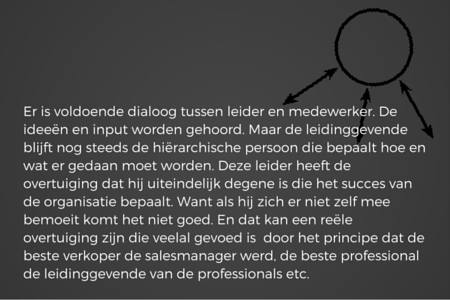 de leider als geleider