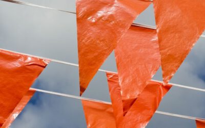 Topsport binnen organisaties: elke dag in de EK-finale!