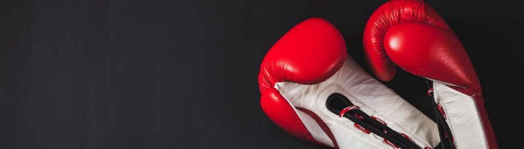 Vds training consultants blog boksen of boxen op de maandagmorgen