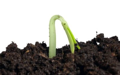 Duurzame inzetbaarheid: 10 tips voor een succesvolle aanpak