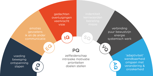 Vds training consultants model zelfsturing 3 Vds training consultants model zelfsturing 3