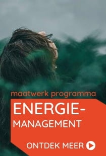 Vds training consultants maatwerk training energiemanagement