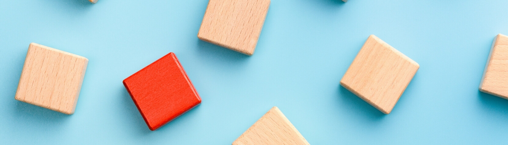 Vds training consultancy maatwerk ontwikkeling programmas